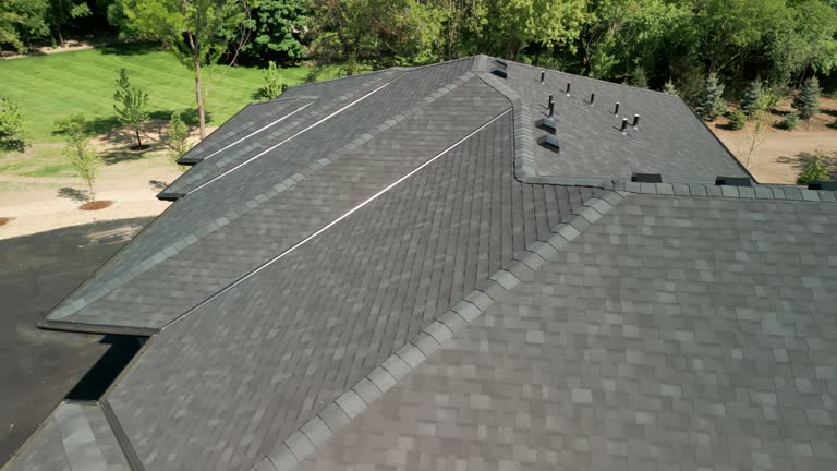 Best Solar Panel Roofing Installation  in Conway, SC